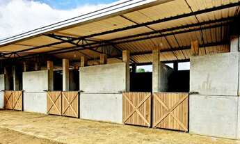 Imagem 7: PRUDENTÓPOLIS - RURAL - Zona Rural