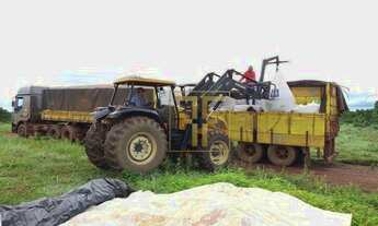 Imagem 2: Fazenda 981 Hectares, Rio Manso, MT