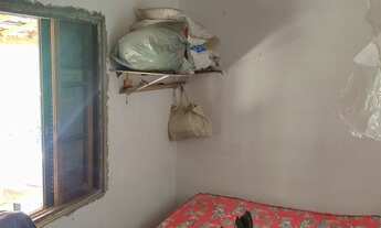 Imagem 3: 10 mil mts com inscidencia de fauna