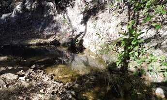 Imagem: Glebas de 20.000m2 na melhor região da