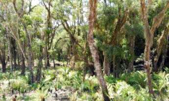 Imagem 2: TERRENO RESIDENCIAL em Ibiúna - SP, Rod. Bunjiro Nakao