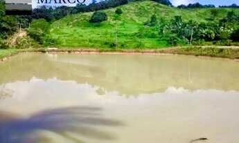 Imagem 7: Vendo Piscicultura peixe Du bom km 146 BR 174