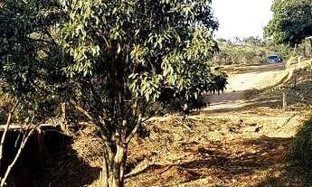 Imagem 3: SETE LAGOAS - Fazenda - Centro