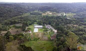 Imagem 3: Chácara para Venda em São José dos Pinhais, Borda do Campo