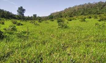 Imagem 2: Fazenda no município de recursolandia