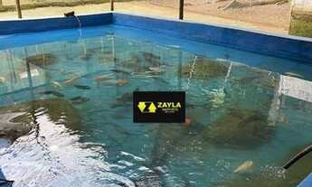 Imagem 4: Sítio a venda em Guapimirim