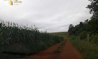 Imagem 10: Fazenda em Brasnorte à venda, 18300000 m² por R$ 123.750.000 - Zona Rural - Brasnorte/MT