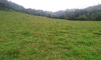 Imagem: Terreno 36 hectares localizada no distrito