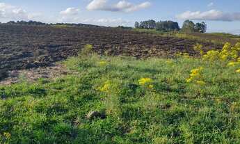 Imagem 5: Sitio com 150.000 m2, ótima localização