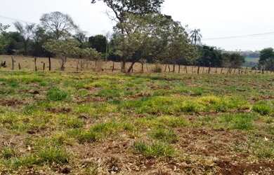 Imagem 3: Chácaras de 1000 m³ com entrada de 30 mil mais parcelas