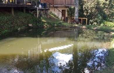 Imagem 4: Linda chácara em Santo Antônio do Pinhal