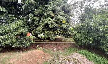 Imagem 2: Terreno murado no bairro Santa Cecilia