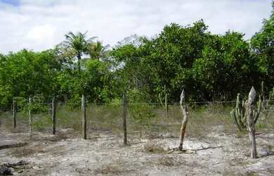 Imagem 5: Terreno 13.745 m2 próximo ao Complexo Ibero Star