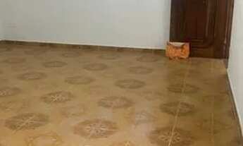 Imagem 4: Casa para aluguel possui 200 metros quadrados com 4 quartos em Vila Linda - Santo André