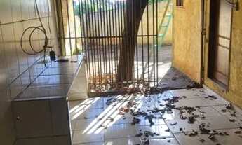 Imagem 7: Casa com 1 dormitório para alugar, 40 m² por R$ 800/mês - Jardim Nazareth - São José do Ri