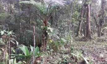 Imagem 2: Terreno de chácara com 5000m², em Itanhaém/SP