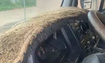 Imagem 5: Vendo caminhão ford cargo