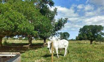 Imagem: SÍTIO ESTRADA DA GUIA