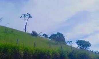 Imagem 4: Terreno de 1000m² à beira da represa em Igaratá