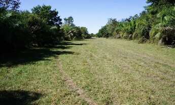 Imagem 4: FAZENDA RELIQUUA