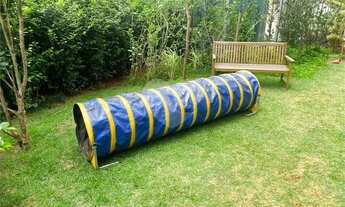 Imagem 7: Apartamento-São Paulo-BUTANTÃ