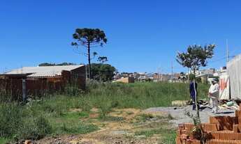 Imagem 1: Dois lote Araucaria