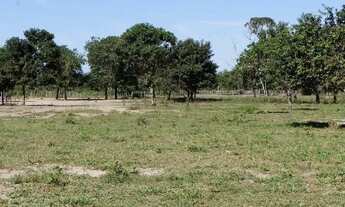 Imagem 5: FAZENDA RELIQUUA