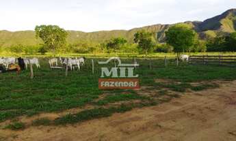 Imagem 5: Fazenda 204 Alqueires (987 Hectares) em Natividade - TO