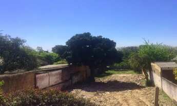 Imagem 2: Terreno em Glória