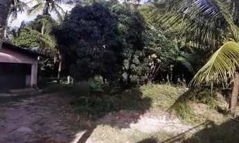 Imagem: Granja em oitizeiro