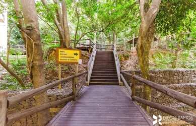 Imagem 10: Apartamento à venda Avenida Bento Gonçalves, Partenon - Porto Alegre