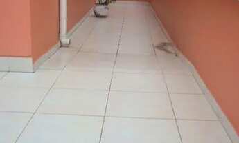 Imagem 5: CASA RESIDENCIAL em SAO PAULO - SP, CHACARA SANTO ANTONIO (ZONA SUL