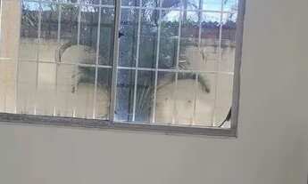 Imagem 7: Apartamento 2 quartos garagem piscina em Pavuna - Rio de Janeiro - RJ