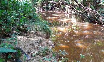 Imagem 5: 47.000 m2-R$ 390.000,00 urbano escriturado em Pariquera-Açu