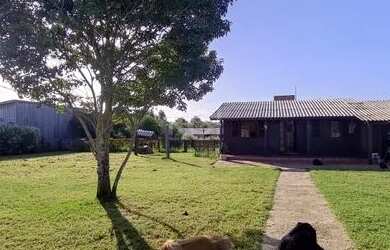 Imagem 2: Sítio em Lami Chácara com venda por R$380.000