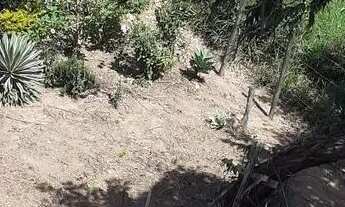 Imagem 3: Vendo lote 500 metros