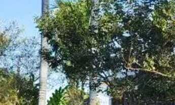 Imagem 2: CASA ASSOBRADADA - ALTO DE PINHEIROS - SP