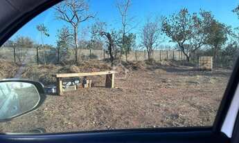 Imagem 4: TERRENO GRANDE - 7.080M2 - CERCADO