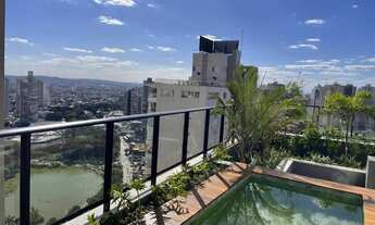 Imagem 6: Opus Gyro Vaca Brava