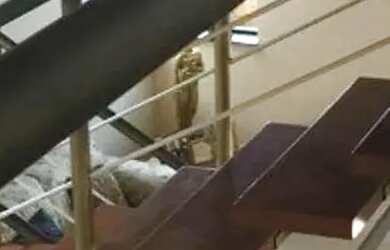 Imagem 3: Casa em Rua Renato Ferreira Porto - Jardim Panorama - Mogi Mirim/SP