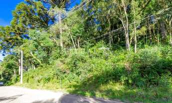 Imagem: TERRENO NA VILA SUZANA