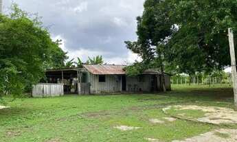 Imagem 7: Fazenda 200 hectares na AM 010 km 195 2.500.000