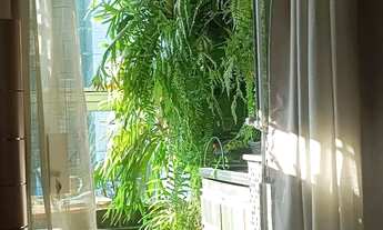 Imagem 5: Imóvel para aluguel tem 140 metros quadrados com 4 quartos em Dona Clara - Belo Horizonte