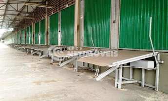 Imagem 2: Locação Galpão Vereda Ribeirão das Neves