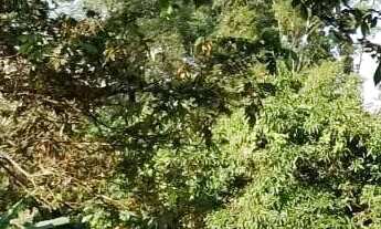 Imagem 5: Terreno com 2342 ² em Itaquera à venda