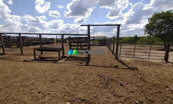 Imagem 2: FAZENDA À VENDA - 1.000 HECTARES - SANTA FÉ DE MINAS (MG