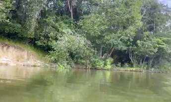 Imagem 5: Área à Venda 1.060 Hectares às Margens do Rio Paraná do Amajau e Rio Branco- Boa Vista