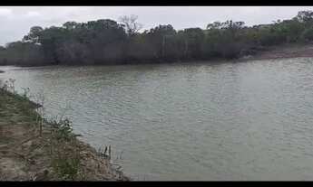 Imagem 3: Oportunidade! Vende-se uma excelente fazenda de 2000 hectares