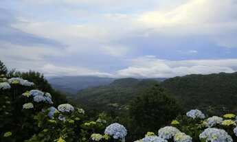 Imagem: Terrenos à Venda com 1.000 m² no Vale