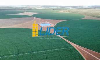 Imagem: Excepcional fazenda com 987 hectares sendo